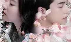 杨洋刘亦菲最新爆料